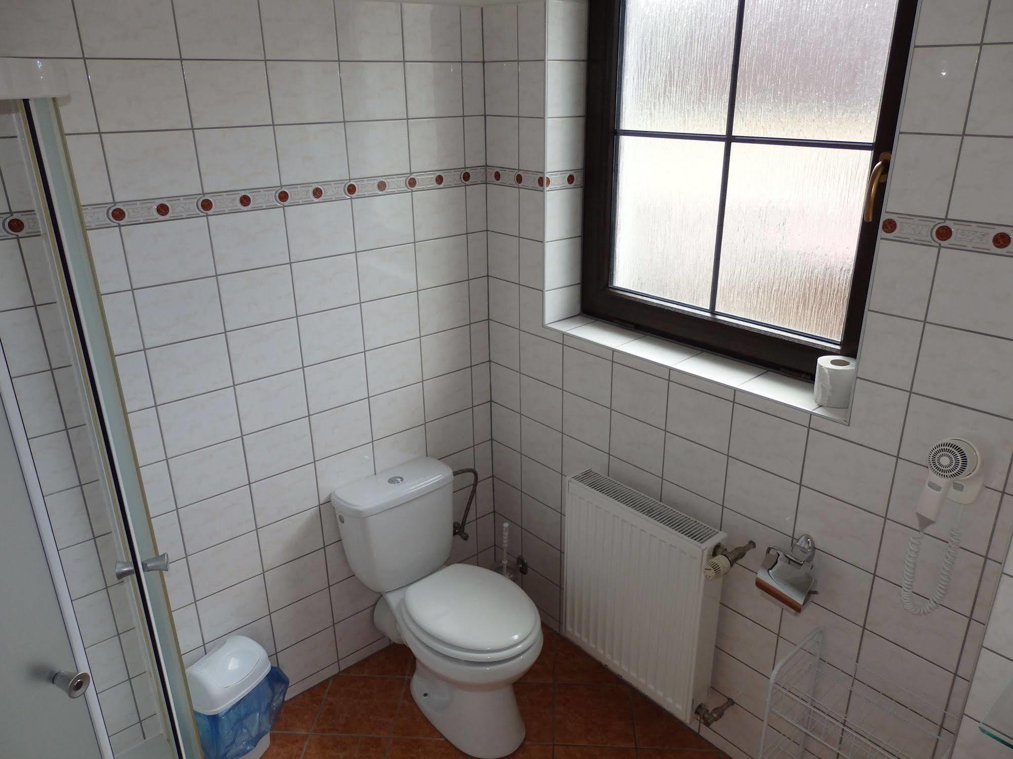 Pension Orbis Marianske Lazne Bagian luar foto